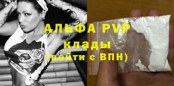 твердый Абаза