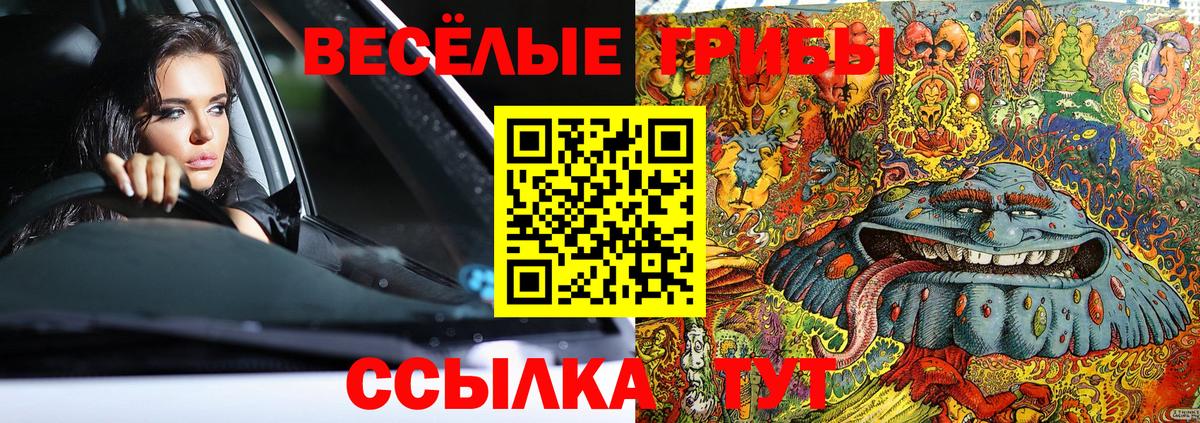 наркотики  Вход с VPN  Советская Гавань  Псилоцибиновые грибы ЛСД  Псилоцибиновые грибы ЛСД 
